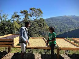 african raised drying beds