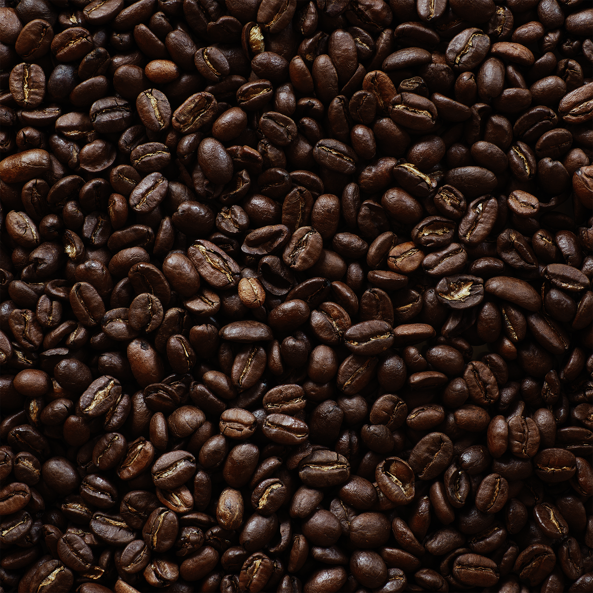 fellowship blend - medium/dark roast bulk 5lb bag
