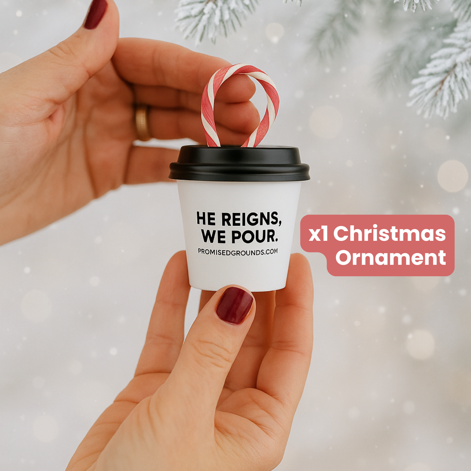 Rejoice Holiday Gift Set - LIMITED EDITION Tanzania Peaberry Roast